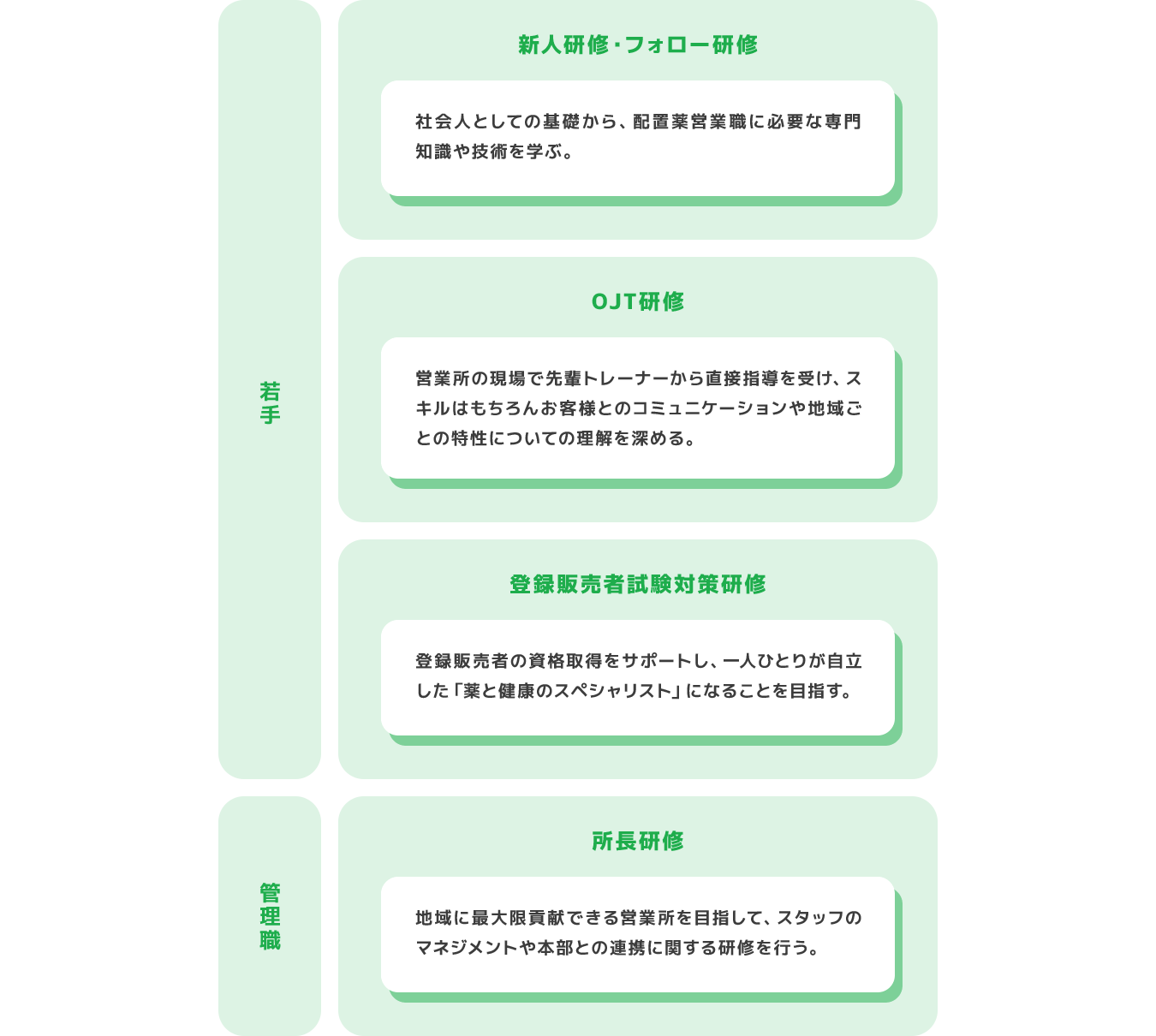 若手 新人研修・フォロー研修 社会人としての基礎から、配置薬営業職に必要な専門知識や技術を学ぶ。 OJT研修 営業所の現場で先輩トレーナーから直接指導を受け、スキルはもちろんお客様とのコミュニケーションや地域ごとの特性についての理解を深める。 登録販売者試験対策研修 登録販売者の資格取得をサポートし、一人ひとりが自立した「薬と健康のスペシャリスト」になることを目指す。 管理職 所長研修 地域に最大限貢献できる営業所を目指して、スタッフのマネジメントや本部との連携に関する研修を行う。