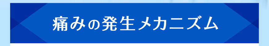 痛みの発生メカニズム